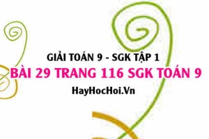 Giải bài 29 trang 116 SGK Toán 9 tập 1
